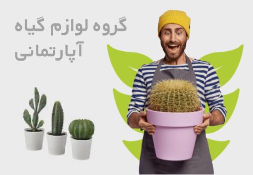 خرید آنلاین گل و گیاه آپارتمانی