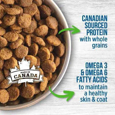 غذای خشک توله سگ نوترینس با طعم مرغ و برنج قهوه ای