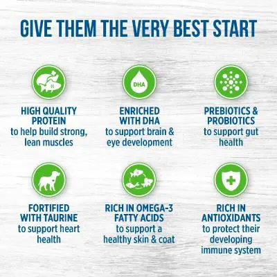 غذای خشک توله سگ نوترینس با طعم مرغ و برنج قهوه ای